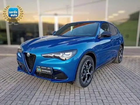 Annonce ALFA ROMEO STELVIO Diesel 2024 d'occasion 