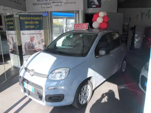 Annonce FIAT PANDA Essence 2019 d'occasion 