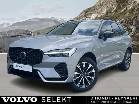 Annonce VOLVO XC60 Hybride 2023 d'occasion Belgique