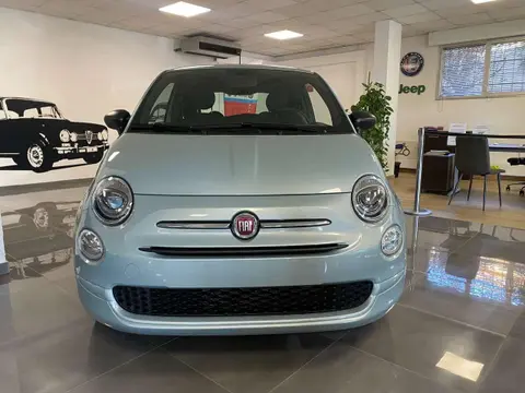 Used FIAT 500 Hybrid 2024 Ad 