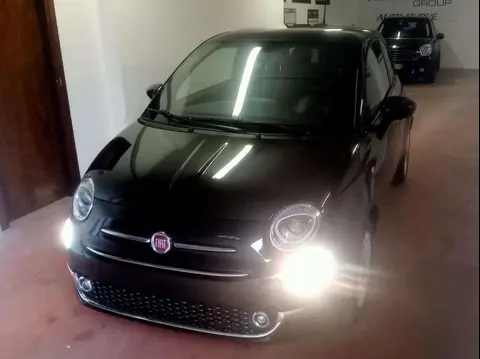 Used FIAT 500 Petrol 2023 Ad 