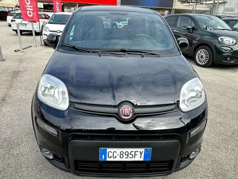 Annonce FIAT PANDA Hybride 2021 d'occasion 