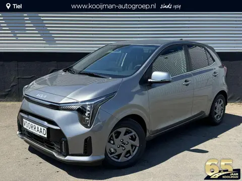 Used KIA PICANTO Petrol 2024 Ad 