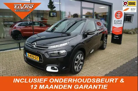 Annonce CITROEN C4 Essence 2019 d'occasion 