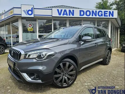 Used SUZUKI S-CROSS Petrol 2019 Ad 