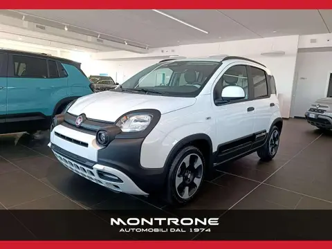 Used FIAT PANDA Hybrid 2024 Ad 