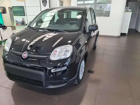 Annonce FIAT PANDA Essence 2024 d'occasion 