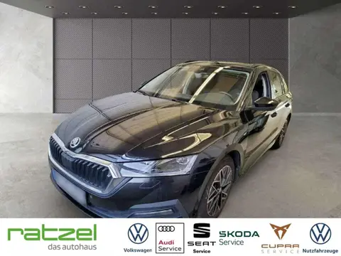 Used SKODA OCTAVIA Petrol 2021 Ad 