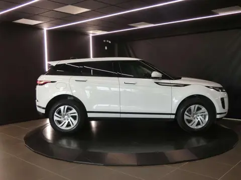 Used LAND ROVER RANGE ROVER EVOQUE Hybrid 2020 Ad 