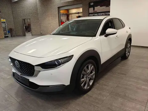 Annonce MAZDA CX-30 Essence 2019 d'occasion 