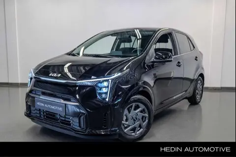 Used KIA PICANTO Petrol 2024 Ad 