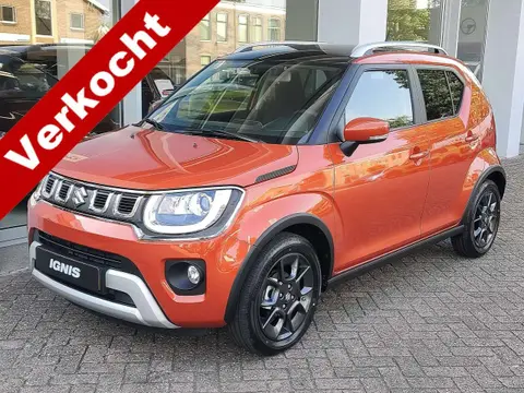 Used SUZUKI IGNIS Petrol 2024 Ad 