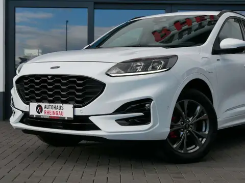 Used FORD KUGA Hybrid 2021 Ad 