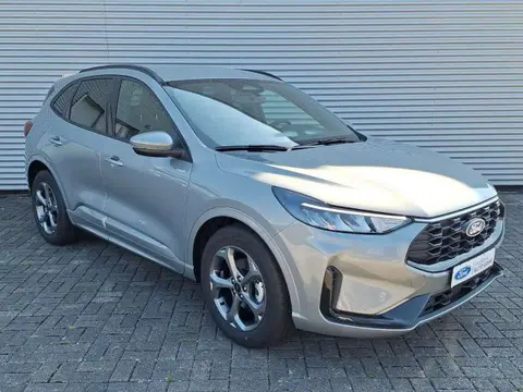 Used FORD KUGA Petrol 2024 Ad 