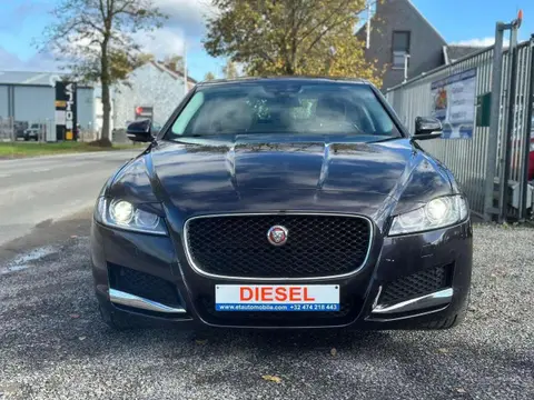 Used JAGUAR XF Diesel 2017 Ad 