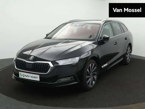 Used SKODA OCTAVIA Hybrid 2024 Ad 