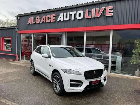 Used JAGUAR F-PACE Diesel 2018 Ad 