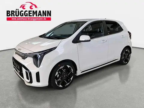 Used KIA PICANTO Petrol 2024 Ad 