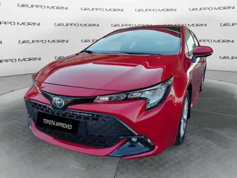 Used TOYOTA COROLLA Hybrid 2023 Ad 