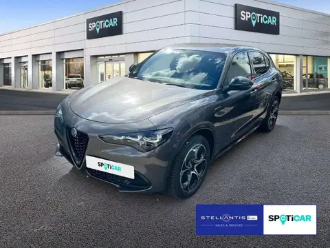 Annonce ALFA ROMEO STELVIO Essence 2024 d'occasion 