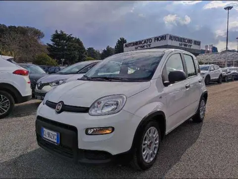 Annonce FIAT PANDA Hybride 2022 d'occasion 