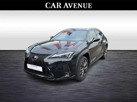 Annonce LEXUS UX Hybride 2023 d'occasion 