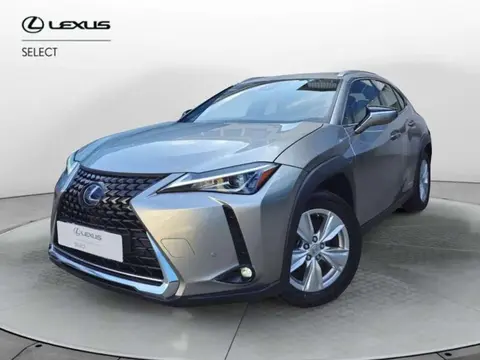 Used LEXUS UX Hybrid 2019 Ad 