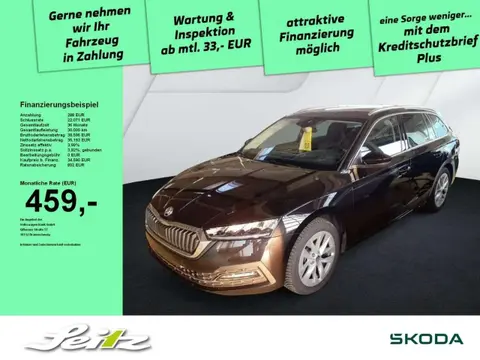 Used SKODA OCTAVIA Petrol 2024 Ad 