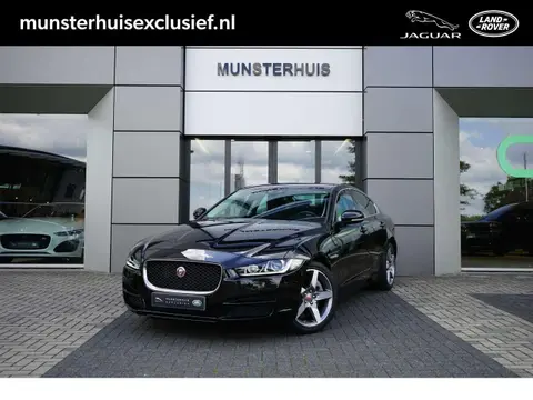 Used JAGUAR XE Petrol 2017 Ad 