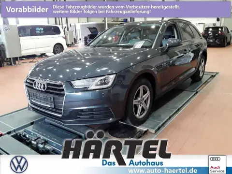 Annonce AUDI A4 Diesel 2019 d'occasion 