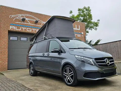 Annonce MERCEDES-BENZ MARCO POLO Diesel 2024 d'occasion 