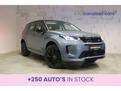 Used LAND ROVER DISCOVERY Hybrid 2020 Ad Belgium