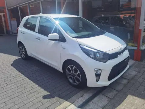 Used KIA PICANTO Petrol 2023 Ad 