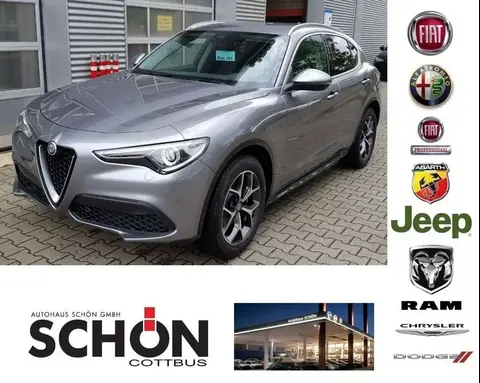 Used ALFA ROMEO STELVIO Diesel 2021 Ad 