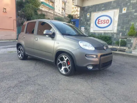 Used FIAT PANDA Hybrid 2022 Ad 