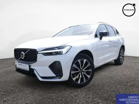 Annonce VOLVO XC60 Diesel 2023 d'occasion 