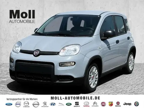 Used FIAT PANDA Petrol 2023 Ad 