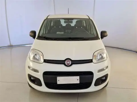 Annonce FIAT PANDA Essence 2020 d'occasion 