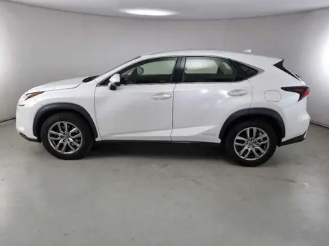 Used LEXUS NX Hybrid 2020 Ad 