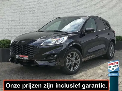 Annonce FORD KUGA Hybride 2023 d'occasion 