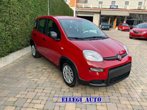 Annonce FIAT PANDA Hybride 2024 d'occasion 