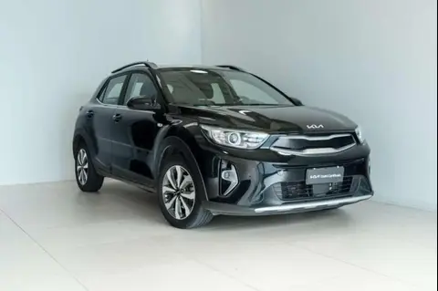 Used KIA STONIC Hybrid 2022 Ad 