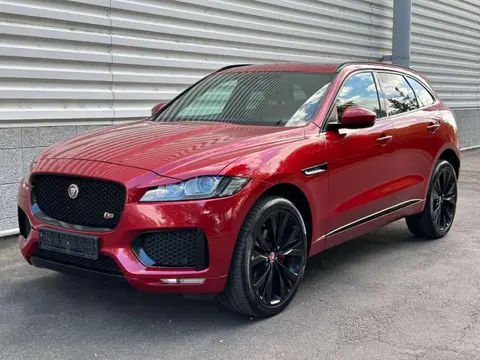 Used JAGUAR F-PACE Diesel 2018 Ad Germany