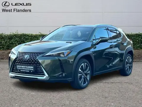 Annonce LEXUS UX Hybride 2024 d'occasion 