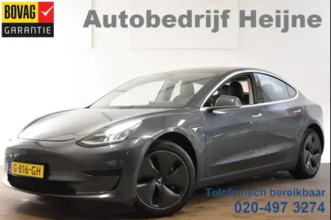 Used TESLA MODEL 3 Electric 2019 Ad 