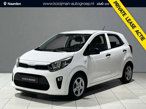 Annonce KIA PICANTO Essence 2024 d'occasion 