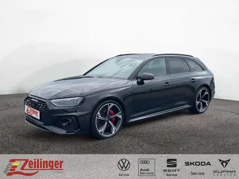 Used AUDI RS4 Petrol 2023 Ad 