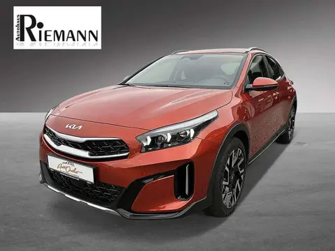 Annonce KIA XCEED Essence 2024 d'occasion 