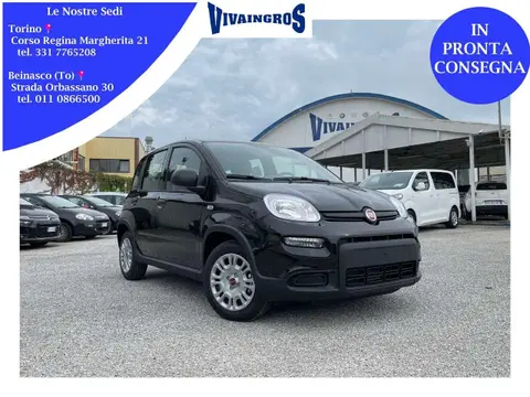 Used FIAT PANDA Hybrid 2024 Ad 