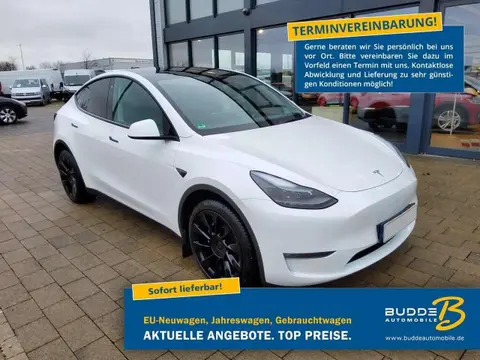 Used TESLA MODEL Y Electric 2023 Ad 